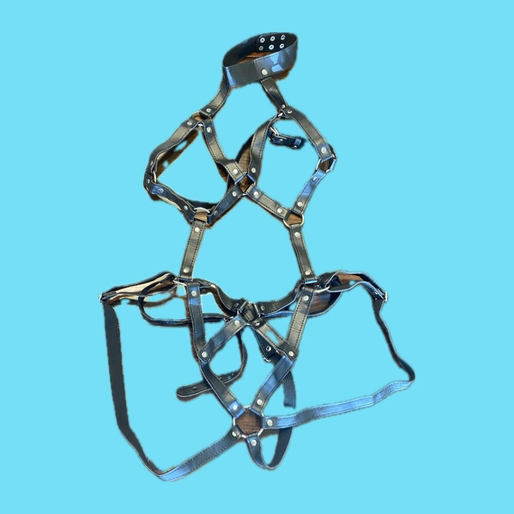 Black Pleather Full Body Harness OS